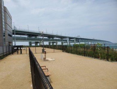 りんくうアイスパーク内ドッグラン