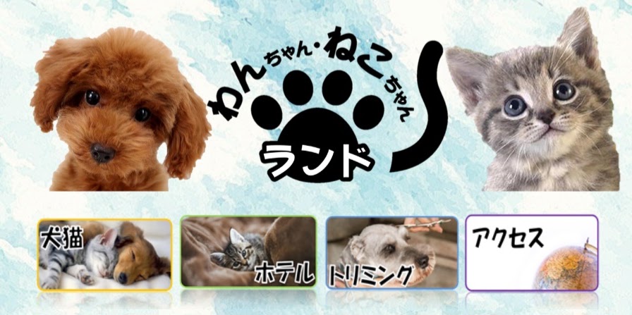 わんちゃんねこちゃんランド 矢向店