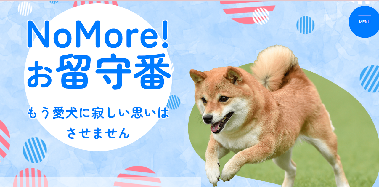 NEWS DOG