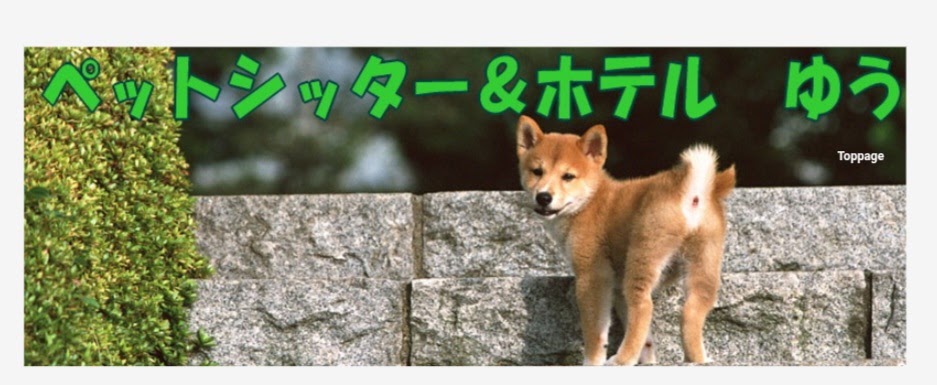 ペットシッター＆ホテル ゆう