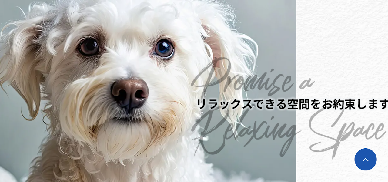 Pet Salon CROUTON（ペットサロンクルトン）
