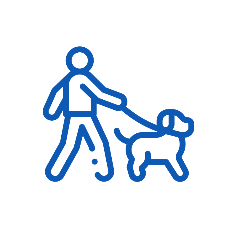 犬の散歩