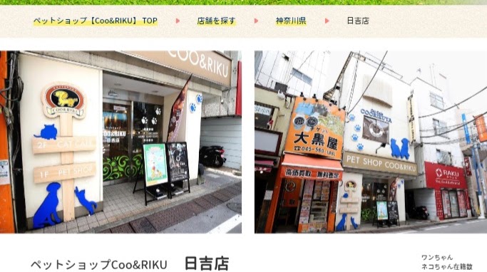 ペットショップCoo&RIKU日吉店
