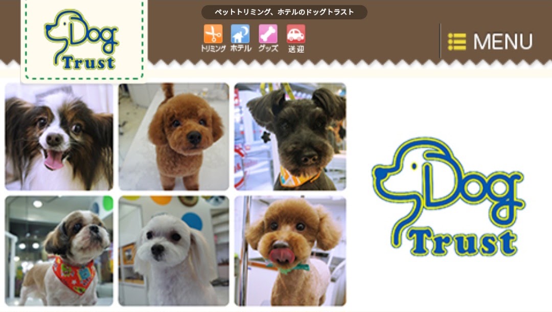 ドッグトラスト