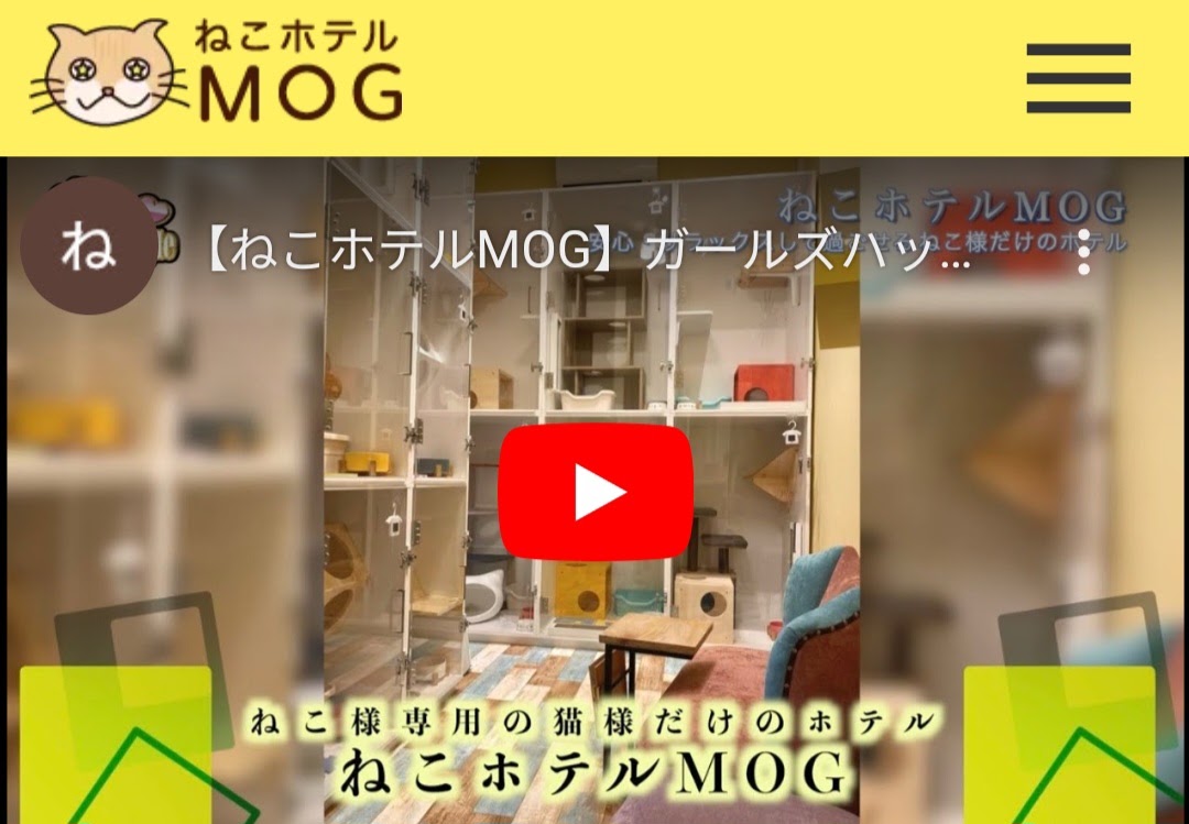 ねこホテルMOG（もぐ）