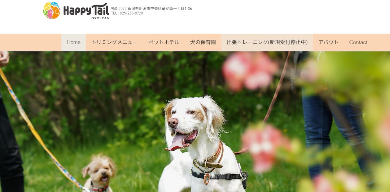 Happy Tail（ハッピーテイル）