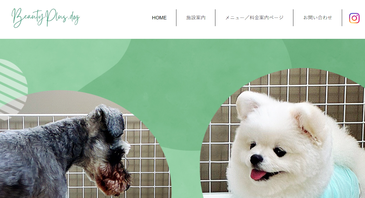 BeautyPlus. Dog
