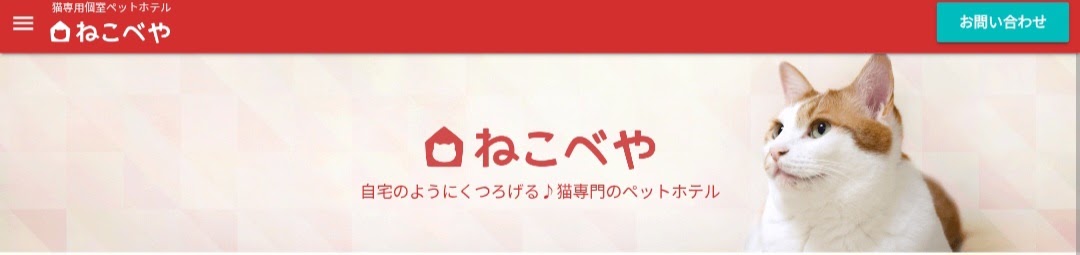 ねこべや横浜保土ヶ谷店