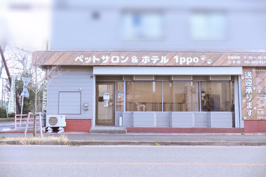 ペットサロン 1ppo