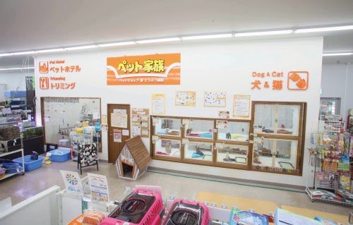 ペット家族