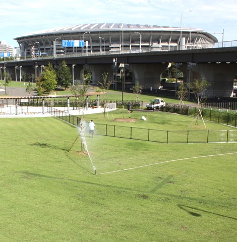 新横浜公園ドッグラン