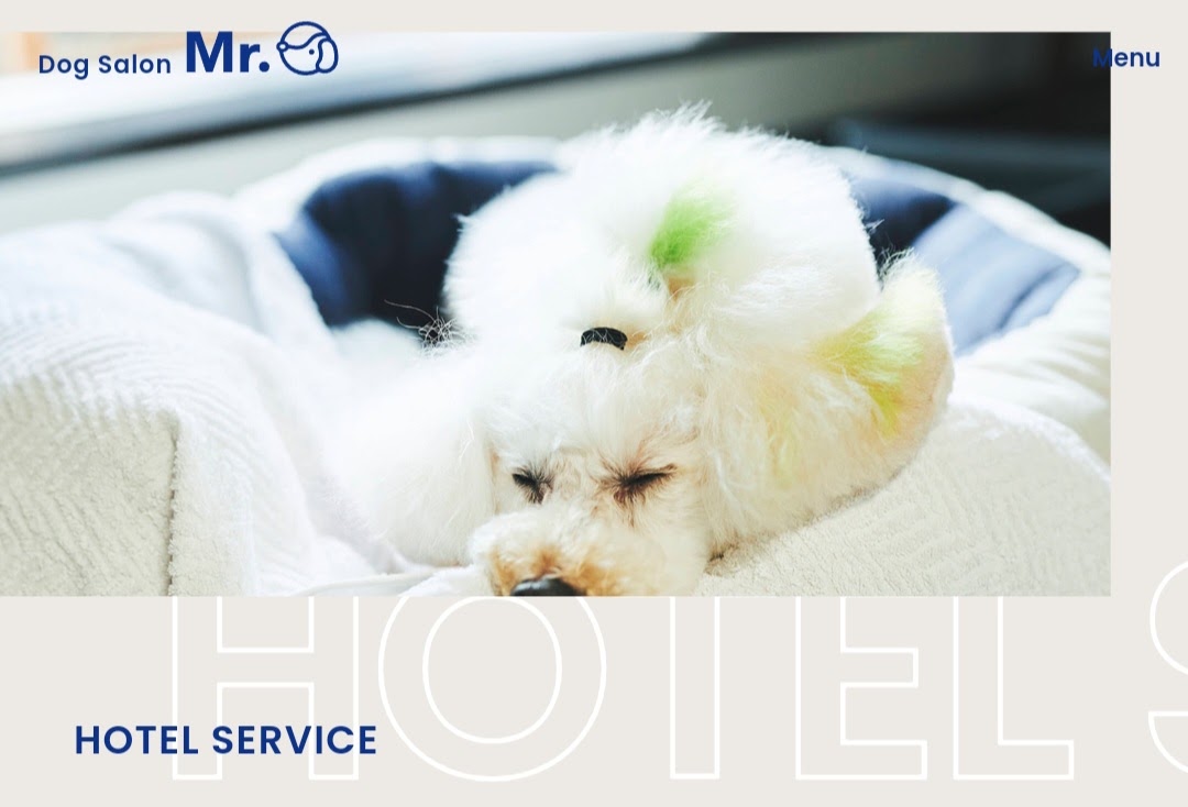 Dog Salon Mr.
