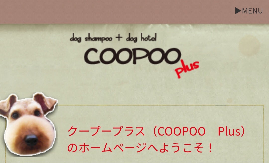 クープープラス（COOPOO plus）