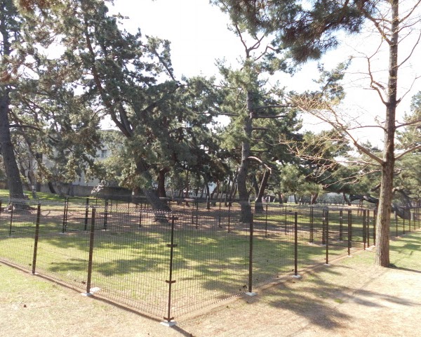浜寺公園ドッグラン