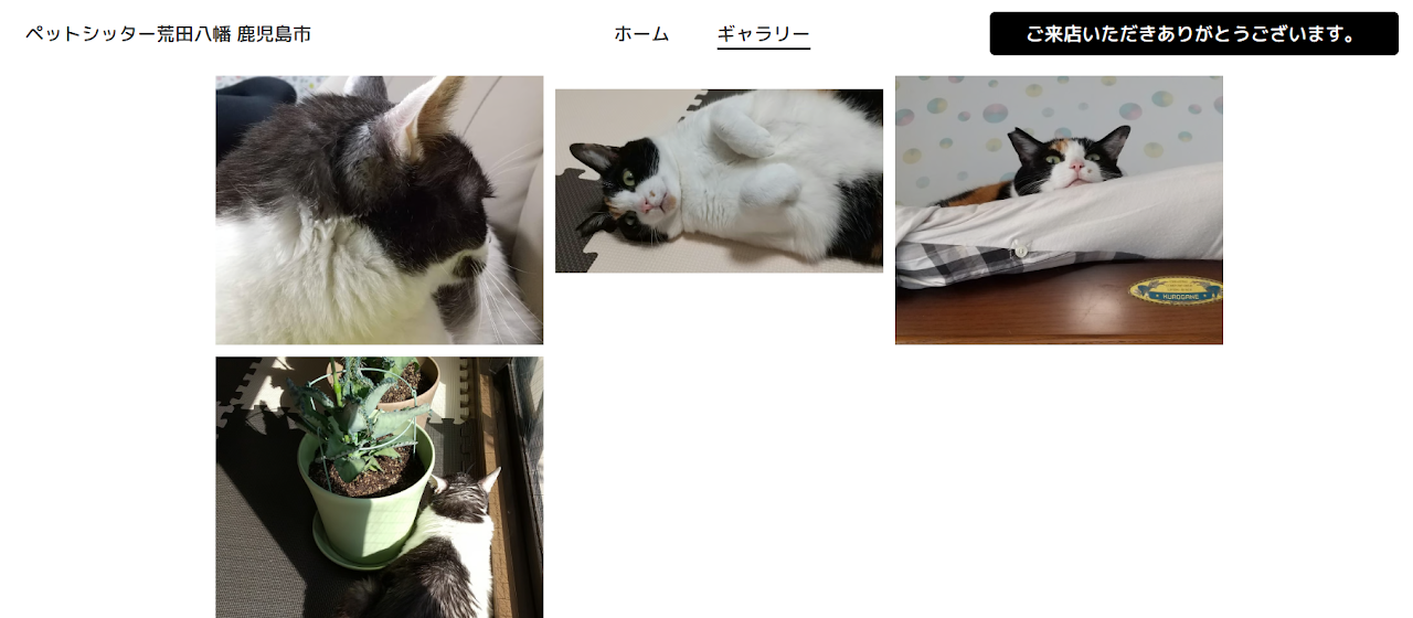 ペットシッター荒田八幡