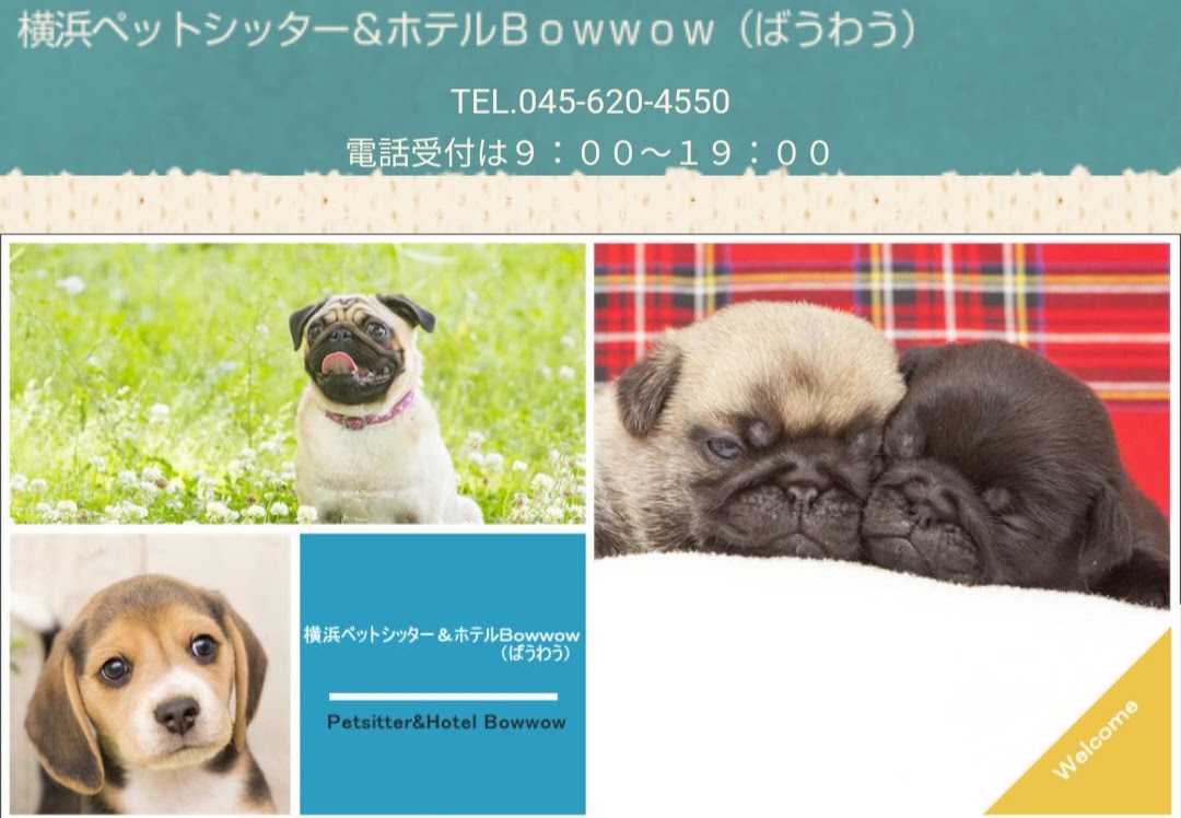 横浜ペットシッター＆ホテルＢｏｗｗｏｗ（ばうわう）