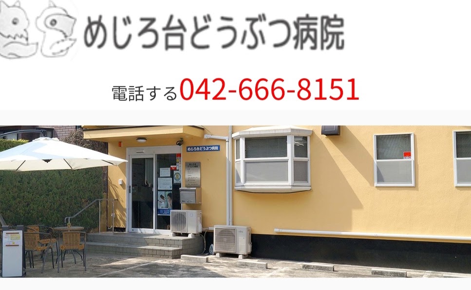 めじろ台どうぶつ病院