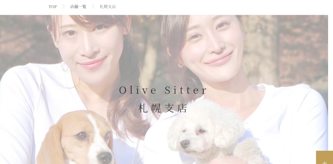 Olive Sitter 札幌支店