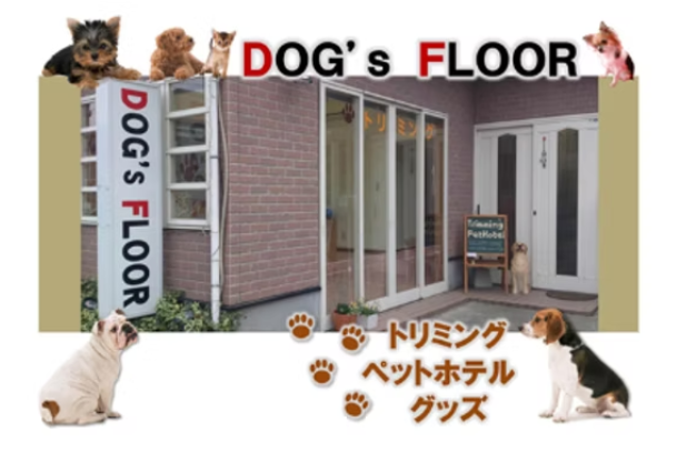 ＤＯＧ’ｓＦＬＯＯＲ（ドッグスフロア）