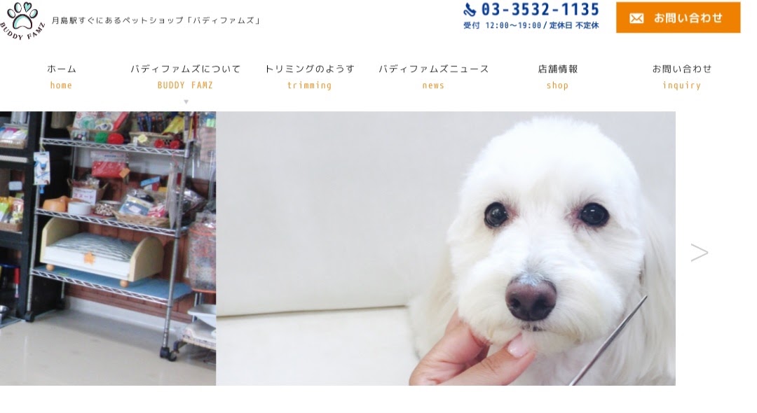 バディファムズ