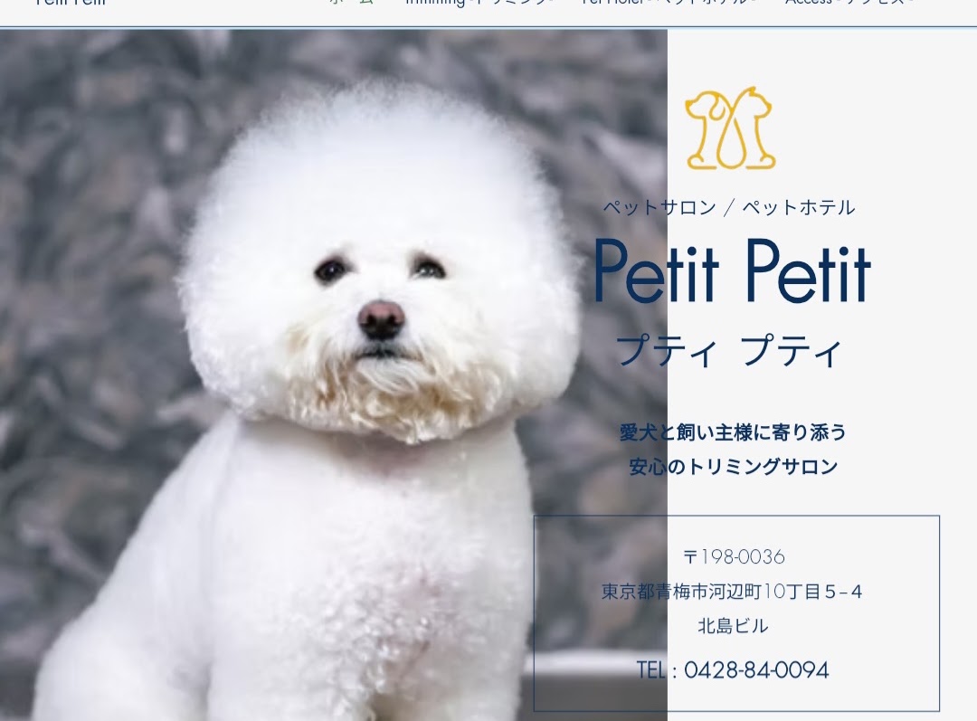 Petit Petit（プティ プティ）