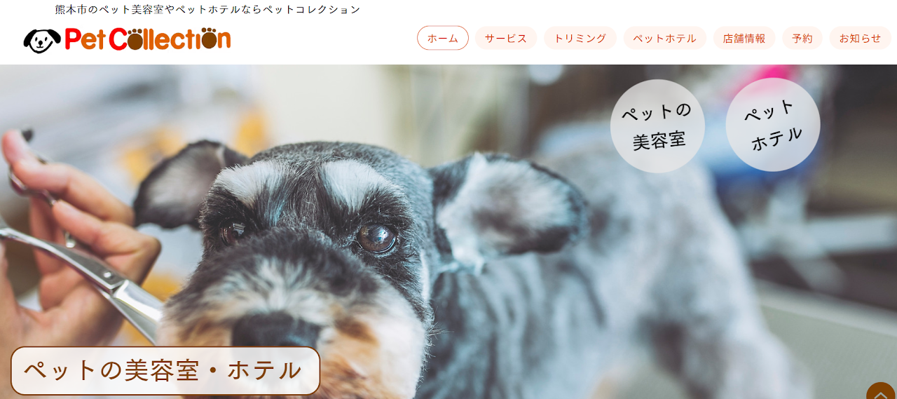 ペットコレクション
