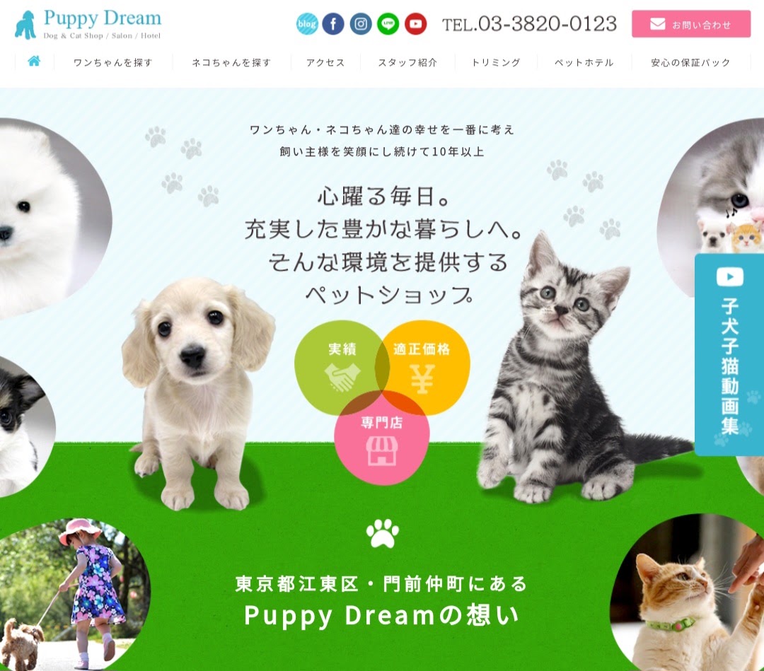 Puppy Dream （パピードリーム）