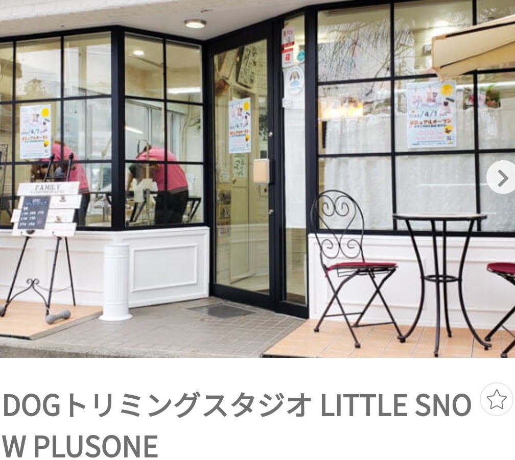 LITTLE SNOW PLUSONE