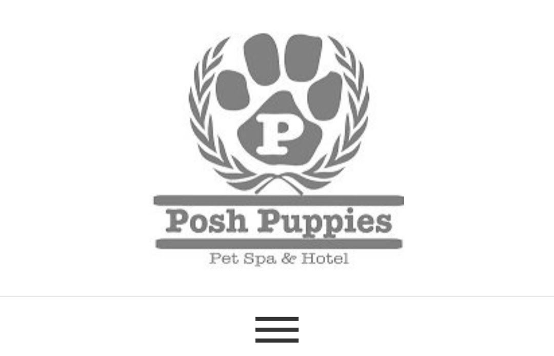 PoshPuppies（ポッシュパピーズ）