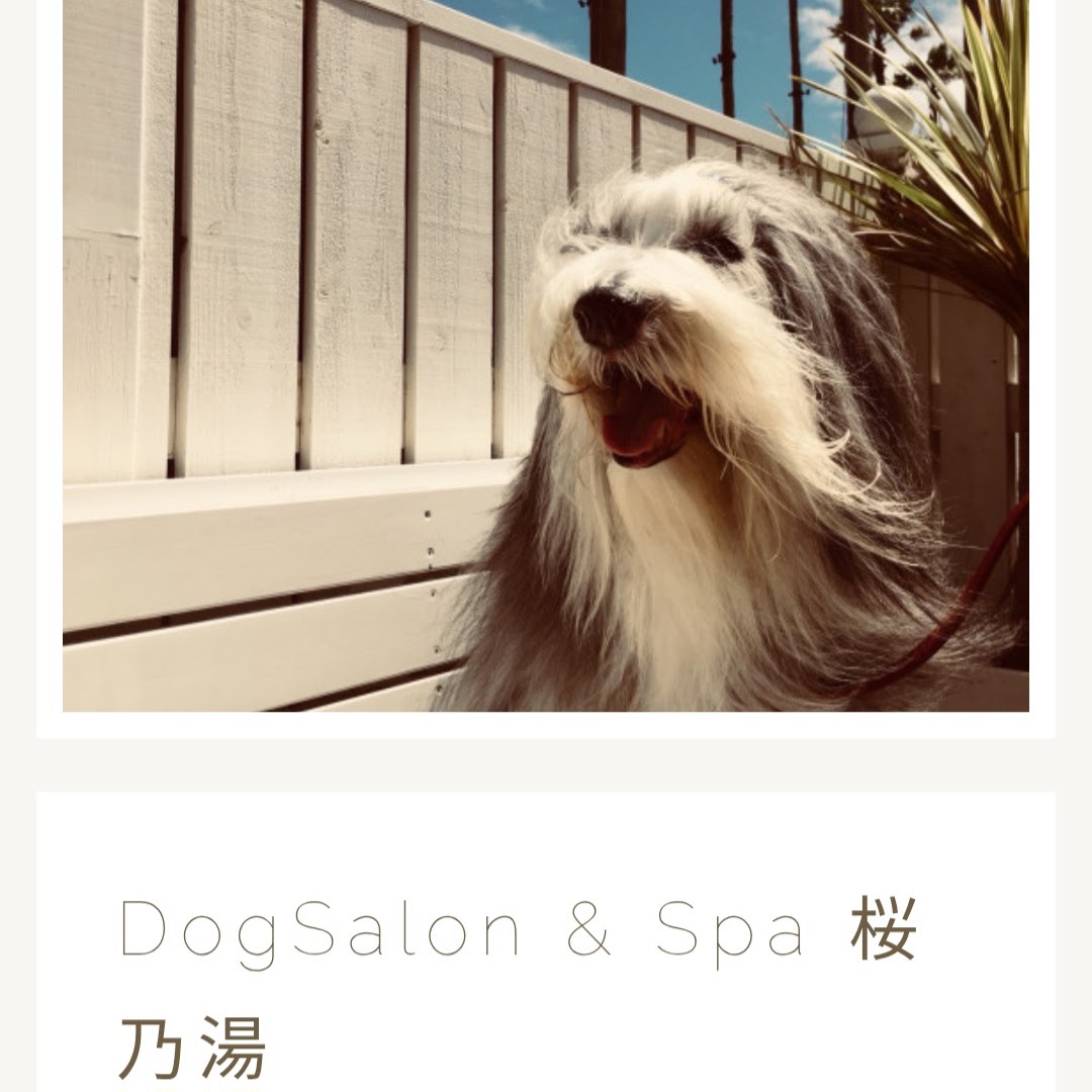DogSalon&Spa 桜乃湯（さくらのゆ）