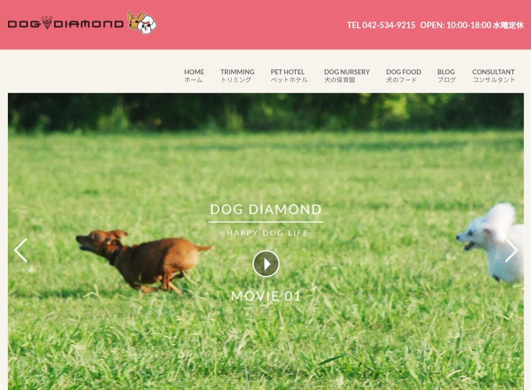 DOG DIAMOND（ドッグダイヤモンド）