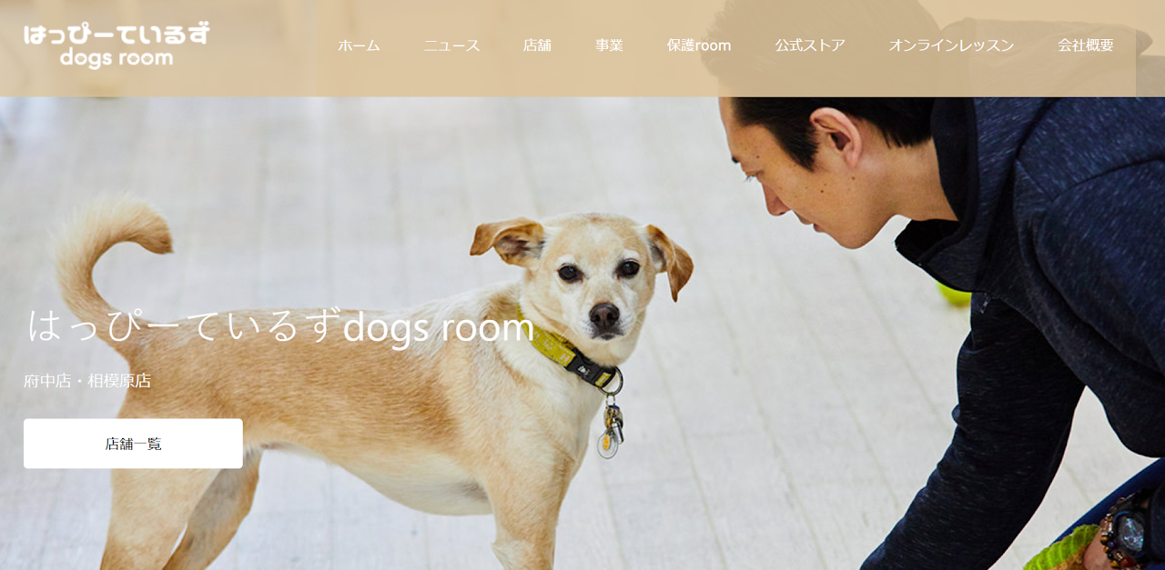 はっぴーているずdogs room相模原店