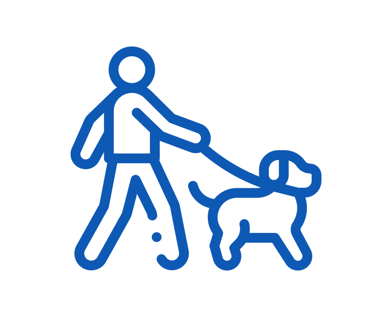 犬の散歩