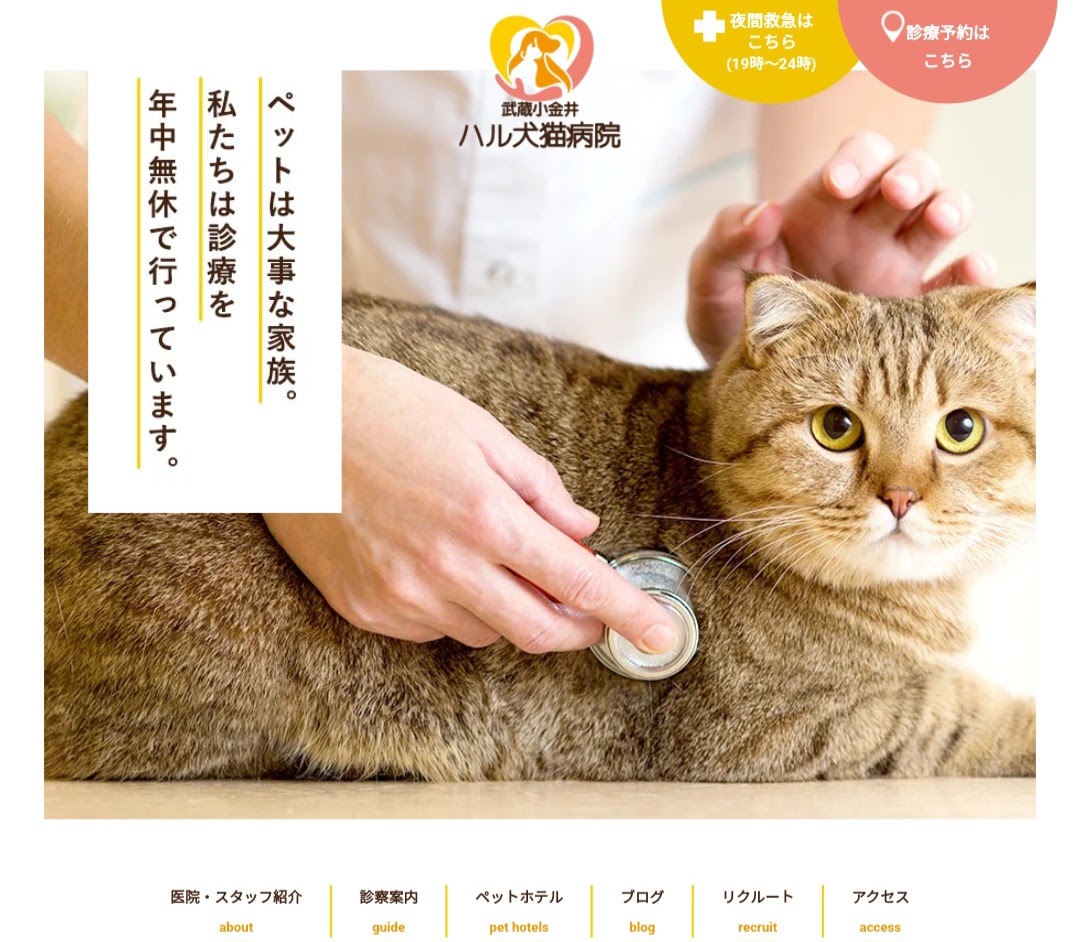 武蔵小金井ハル犬猫病院