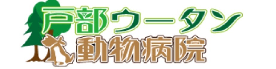 戸部ウータン動物病院