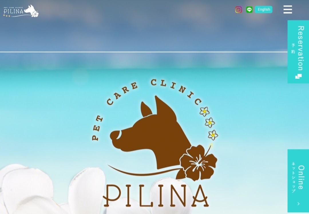 PET CARE CLINIC PILINA