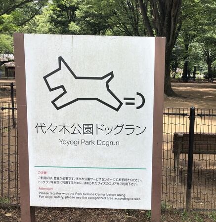 代々木公園ドッグラン