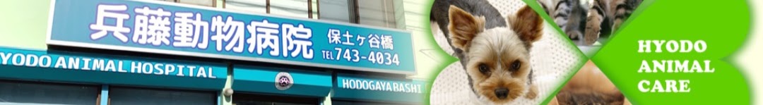 兵藤動物病院 保土ヶ谷橋