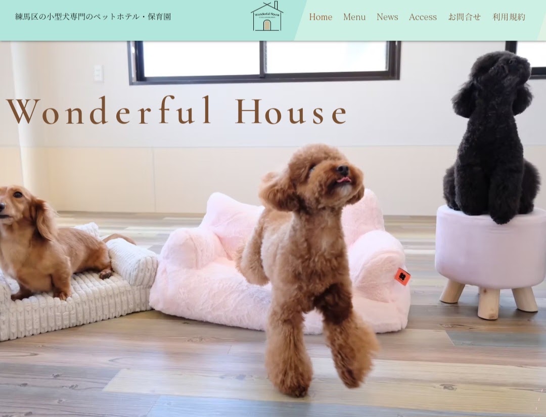 Wonderful House