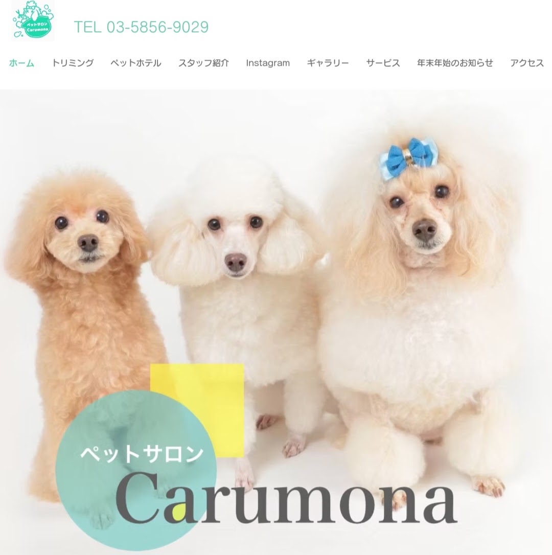 Carumona （カルモナ）