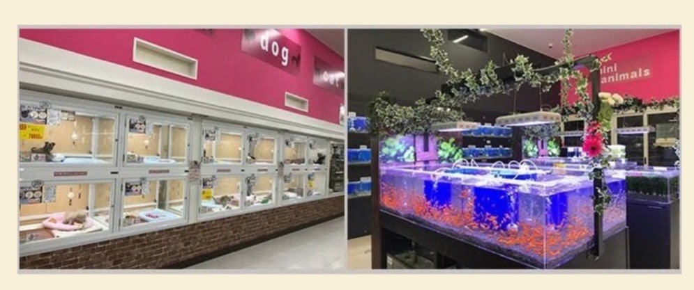 ペットプラザ 三鷹店