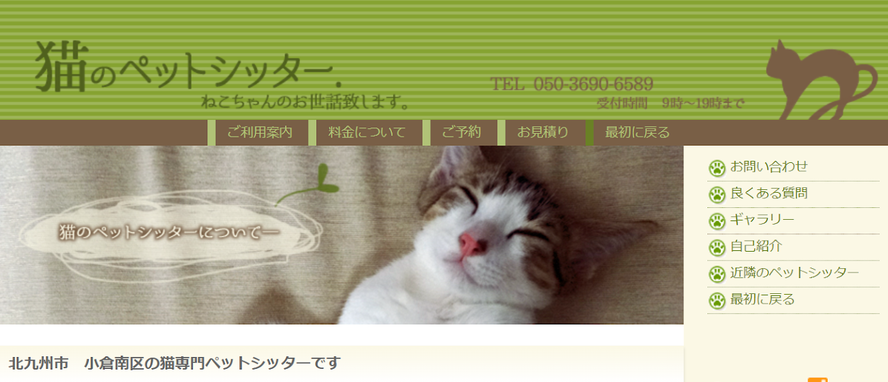 猫のペットシッター