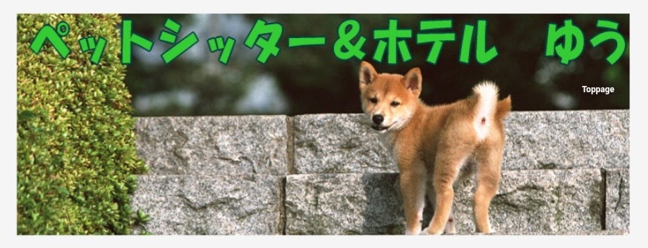 ペットシッター＆ホテル ゆう