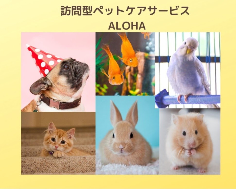 訪問型ペットケアサービスALOHA