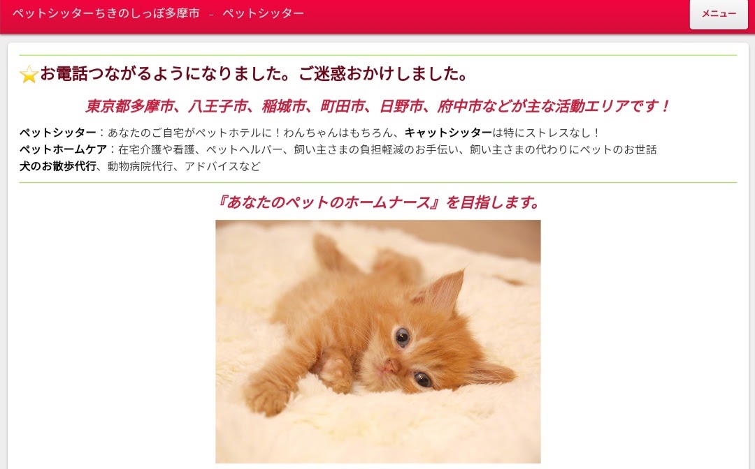 ちきのしっぽ