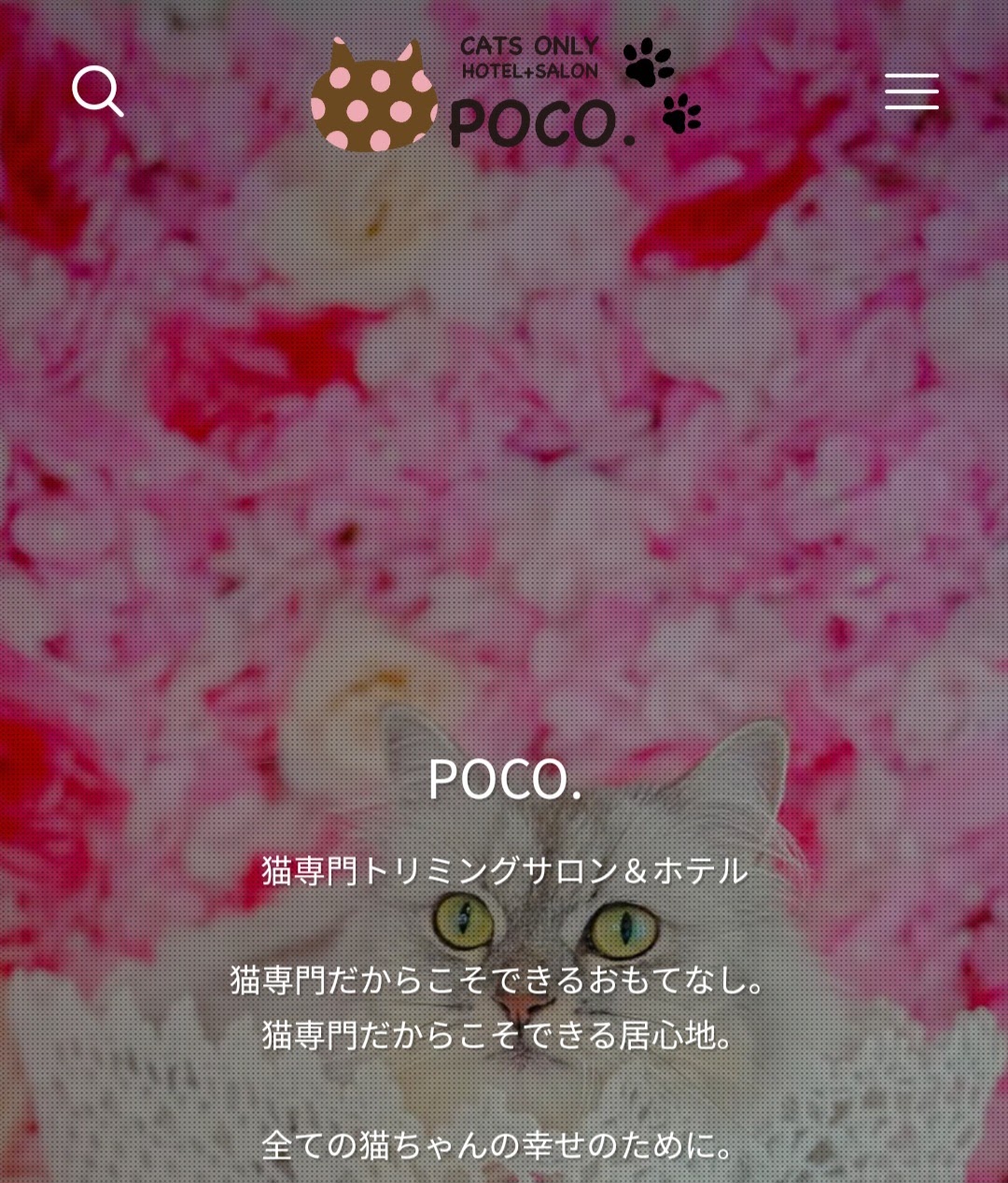 猫専門ホテル＋トリミングサロンPOCO.（ポコドット）