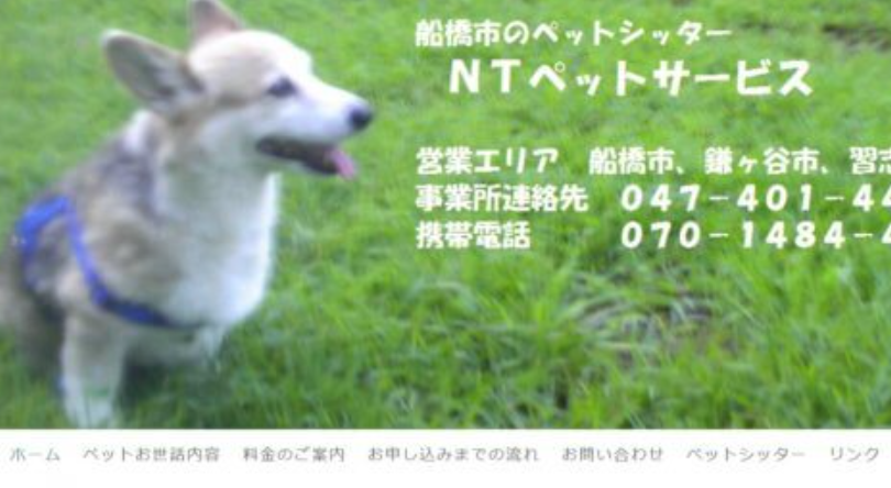 NTペットサービス