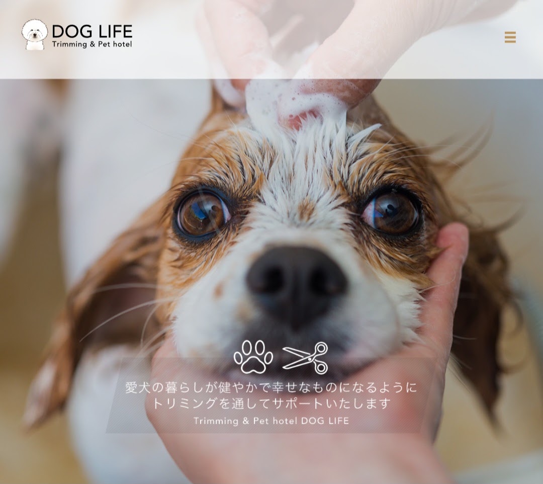 DOG LIFE（ドッグライフ）