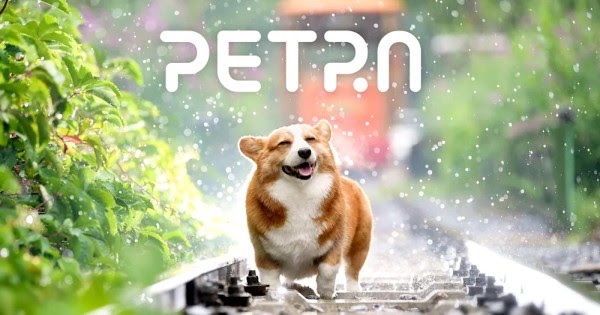 Petra（ペトラ）