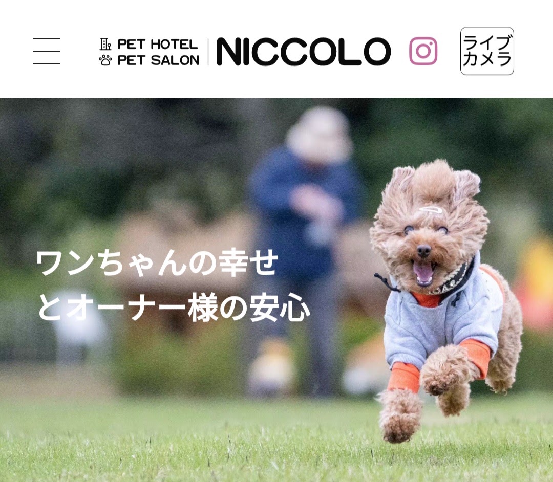 NICCOLO（ニッコロ）